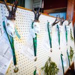 Ve Škvořeticích začala přehlídka mysliveckých trofejí