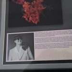 Začala sezona ve vile Hany a Edvarda Benešových v Sezimově Ústí. Expozici doplnily nové soukromé předměty