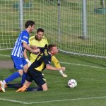 O výhře nad Mirovicemi rozhodli střídající hráči Strakonic
