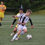 Nadstavba vrcholí: Strakonice doma s Lokomotivou napůl úspěšně