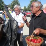 Unikát! Po Kamenném mostě v Písku projely veterány