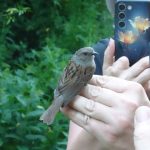 Přátelé přírody se vydali za ptačím zpěvem v Soběslavi podél Lužice