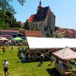 Na Trhovosvinenském pečení selat brali dvě první místa buk-KVÍK-čáci