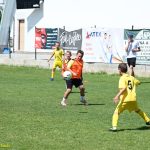 VIDEA: V Plané nad Lužnicí uspořádali největší turnaj tamní historie. Z vítězství se radovaly týmy domácího Sokola a Táborska