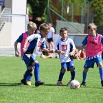 VIDEA: V Plané nad Lužnicí uspořádali největší turnaj tamní historie. Z vítězství se radovaly týmy domácího Sokola a Táborska