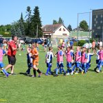 VIDEA: V Plané nad Lužnicí uspořádali největší turnaj tamní historie. Z vítězství se radovaly týmy domácího Sokola a Táborska