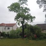Hasiči vyjížděli v souvislosti s bouřkami k desítkám zásahů, ve Slavonicích zatopila voda dům