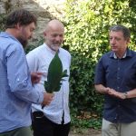 Ryby, plazi a obojživelníci Táborska v soběslavském muzeu