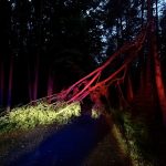 Jihočeským krajem se prohnala bouřka. Na Písecku se opřel strom o dům, na Prachaticku jsou lidé bez elektřiny