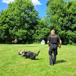 Policisté se zapojili do několika oslav dne dětí na Strakonicku. Představili svou práci i čtyřnohé kolegy