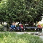 Bezdomovci a bezpečnost v centru Tábora: Ožehavá témata řešili lidé přímo v Husově parku