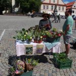 Cílem sousedské slavnosti na táborské pěší zóně bylo, aby se lidé potkali