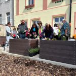 Mohou sázet květiny i zeleninu. V Táboře se seniorům otevřela komunitní zahrada