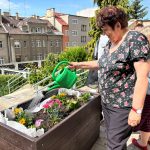 Mohou sázet květiny i zeleninu. V Táboře se seniorům otevřela komunitní zahrada