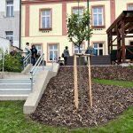 Mohou sázet květiny i zeleninu. V Táboře se seniorům otevřela komunitní zahrada
