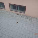 Výtržníci řádili v ulicích Tábora. Mladík poškodil zaparkované auto, opilý pak ležel na chodníku
