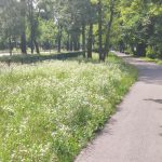 Blog: Jak se žije v Polsku