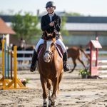 Ztratila se kobyla, která přijela závodit do Přeštěnice. Majitelé prosí o pomoc