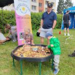 Den vína a mandlí z Hustopečí rozezpíval milevský amfiteátr