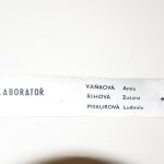 Vyšší Brod dnes odhalil své plány s bývalou plicní léčebnou v Hrudkově