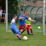 VIDEO: V Jistebnici se hraje fotbal už sto let. Pořádně to oslavili