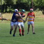 Rarita v Radošovicích: Hřiště ovládl hurling v podání dvou českých týmů