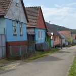 Blog Josefa Luxemburga: Za Čechy do rumunského Banátu