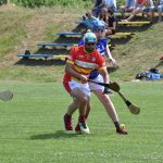 Rarita v Radošovicích: Hřiště ovládl hurling v podání dvou českých týmů