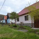 Blog Josefa Luxemburga: Za Čechy do rumunského Banátu