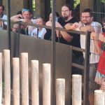 Bubi ze Zoo Dvorec si o svých 17. narozeninách pošmákl na dortu s melouny
