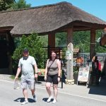 Bubi ze Zoo Dvorec si o svých 17. narozeninách pošmákl na dortu s melouny