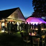 Festival na dvorečku včelína v Krušlově nabídne hudbu, řezby a medové dobroty