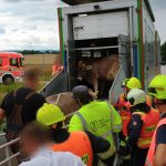 Nahnutý přepravník krav hrozící převrácením zaměstnal hasiče na Budějovicku