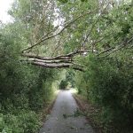 Jihočeským krajem se prohnala bouřka. Na Krumlovsku spadl strom na auto