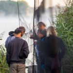 Ptačí výzkum na Řežabinci je otevřený veřejnosti