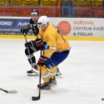 Králové si hladce poradili s univerzitními Black Dogs