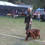 Bartolomějské posvícení lákalo na rodinnou sobotu