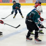 Milevský Bauer Cup U10 ovládl Liberec