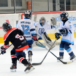 Milevský Bauer Cup U10 ovládl Liberec