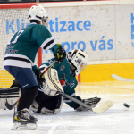 Milevský Bauer Cup U10 ovládl Liberec