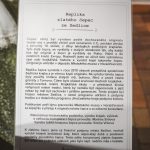 Muzeum v Písku připomíná historii i současnost sedlické krajky