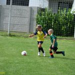 VIDEO: Den OFS v Plané nad Lužnicí si užily děti při turnaji přípravek. Týdeník Táborsko ocenil nejlepší střelce okresních soutěží