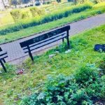 Prachatice budou více monitorovat město kvůli nepořádku