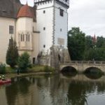 U zámku v Blatné nalezli hasiči dvanáct mrtvých kachen