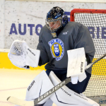 Hokejisté Milevska začali přípravu na ledě. Zapojili se i krajánci