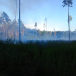 Mezi Sepekovem a Zběšičkami hoří zhruba půl hektaru lesa