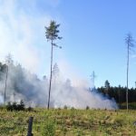 Mezi Sepekovem a Zběšičkami hoří zhruba půl hektaru lesa