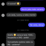 Táborští kriminalisté dopadli ženu, která podvedla stovky lidí. Hrozí jí až pět let vězení