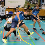 Florbal: Došwich v přípravě prohrál s budějovickými Štíry