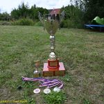 Memoriál Karla Legáta v nohejbalu vyhrála trojice Štiller, Maršálek, Buřič